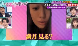 中南奈雪最新爆料视频,中南地区饮品新潮流