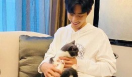 肖战心理医生最新爆料,明星内心世界背后的真实故事